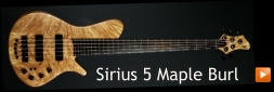 Sirius 5 Maple Burl