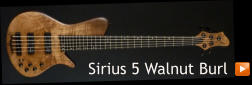 Sirius 5 Walnut Burl