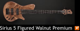 Sirius 5 Figured Walnut Premium