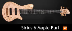 Sirius 6 Maple Burl