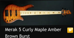 Merak 5 Curly Maple Amber  Brown Burst