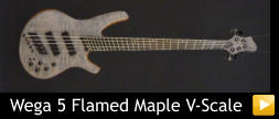 Wega 5 Flamed Maple V-Scale
