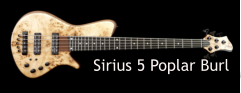 Sirius 5 Poplar Burl