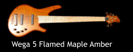 Wega 5 Flamed Maple Amber