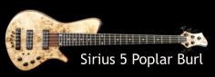 Sirius 5 Poplar Burl