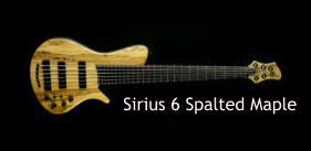 Sirius 6 Spalted Maple