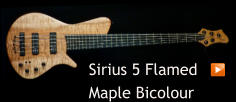 Sirius 5 Flamed  Maple Bicolour