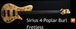 Sirius 4 Poplar Burl  Fretless