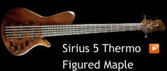 Sirius 5 Thermo  Figured Maple