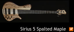 Sirius 5 Spalted Maple