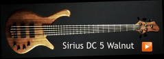 Sirius DC 5 Walnut