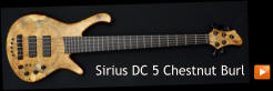Sirius DC 5 Chestnut Burl