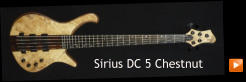 Sirius DC 5 Chestnut