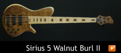 Sirius 5 Walnut Burl II