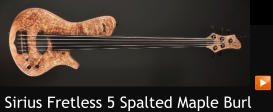 Sirius Fretless 5 Spalted Maple Burl