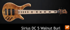 Sirius DC 5 Walnut Burl