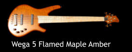 Wega 5 Flamed Maple Amber