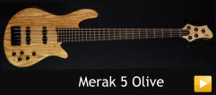 Merak 5 Olive