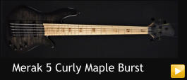 Merak 5 Curly Maple Burst