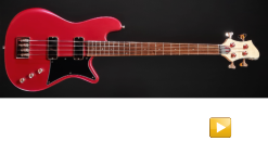 Merak Shorty 4 Ruby