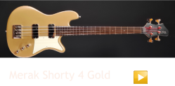 Merak Shorty 4 Gold